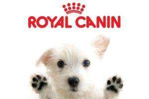 Koiranruoka Royal Canin (Royal Canin)