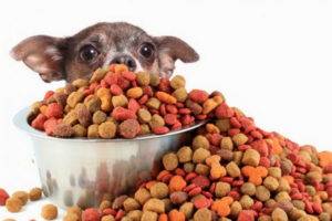 Hypoallergeeninen koiranruoka