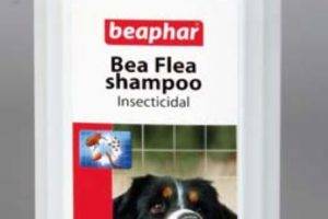 Kirppu shampoo koirille